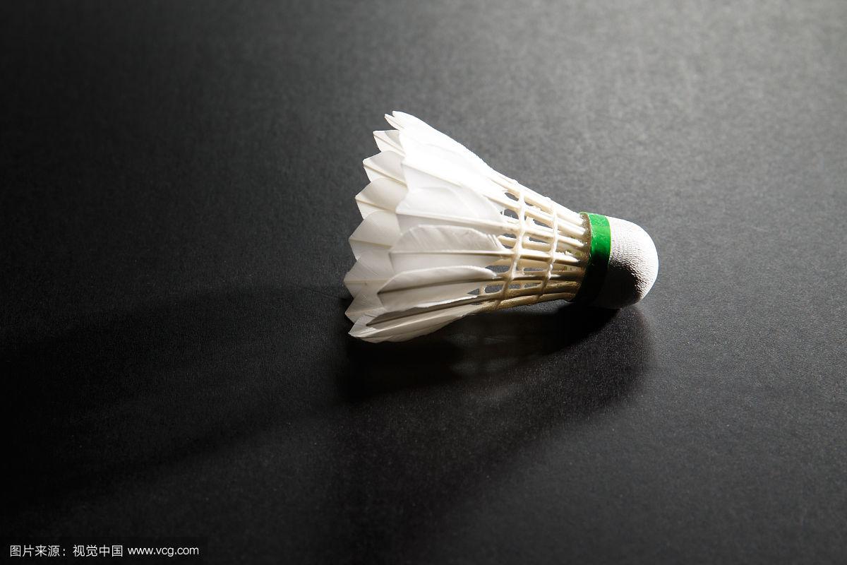 期的重磅新 期的重磅新