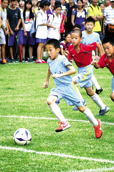 纽约洋基队 纽约洋基队